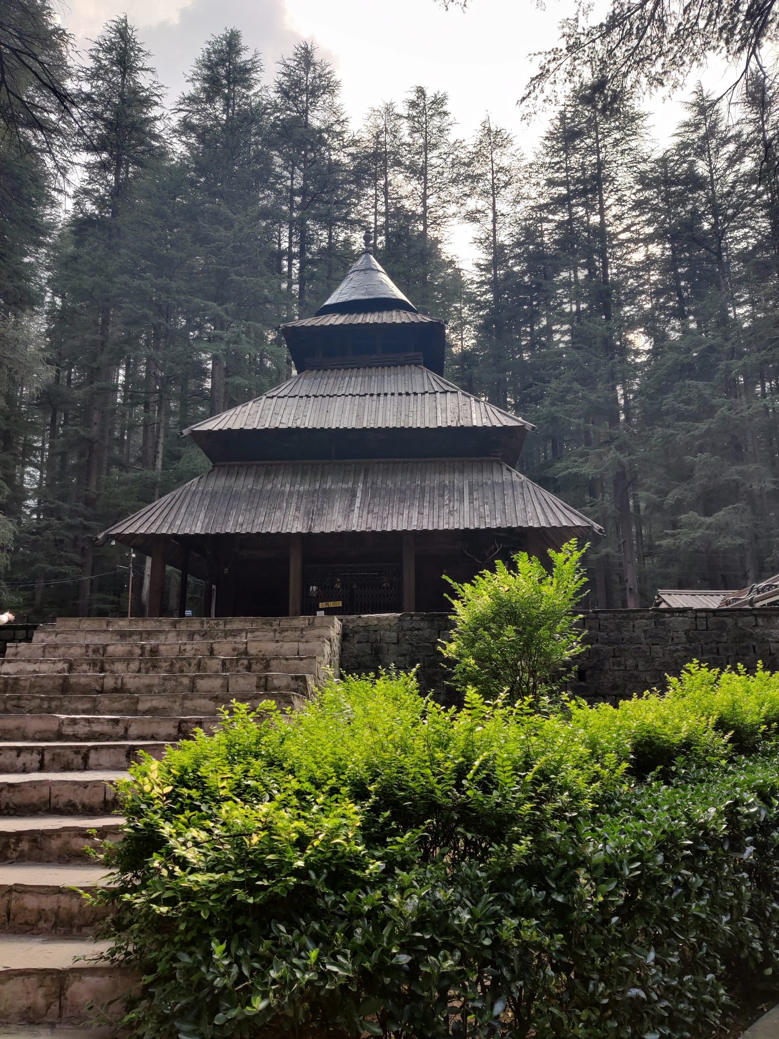 Manali Honeymoon Package 4N/5D